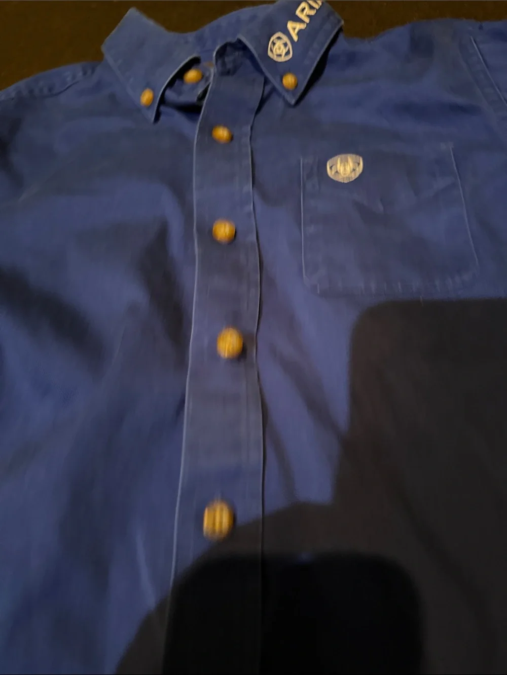 Ariat Men's Button-Down Shirt — Blue with White Logo